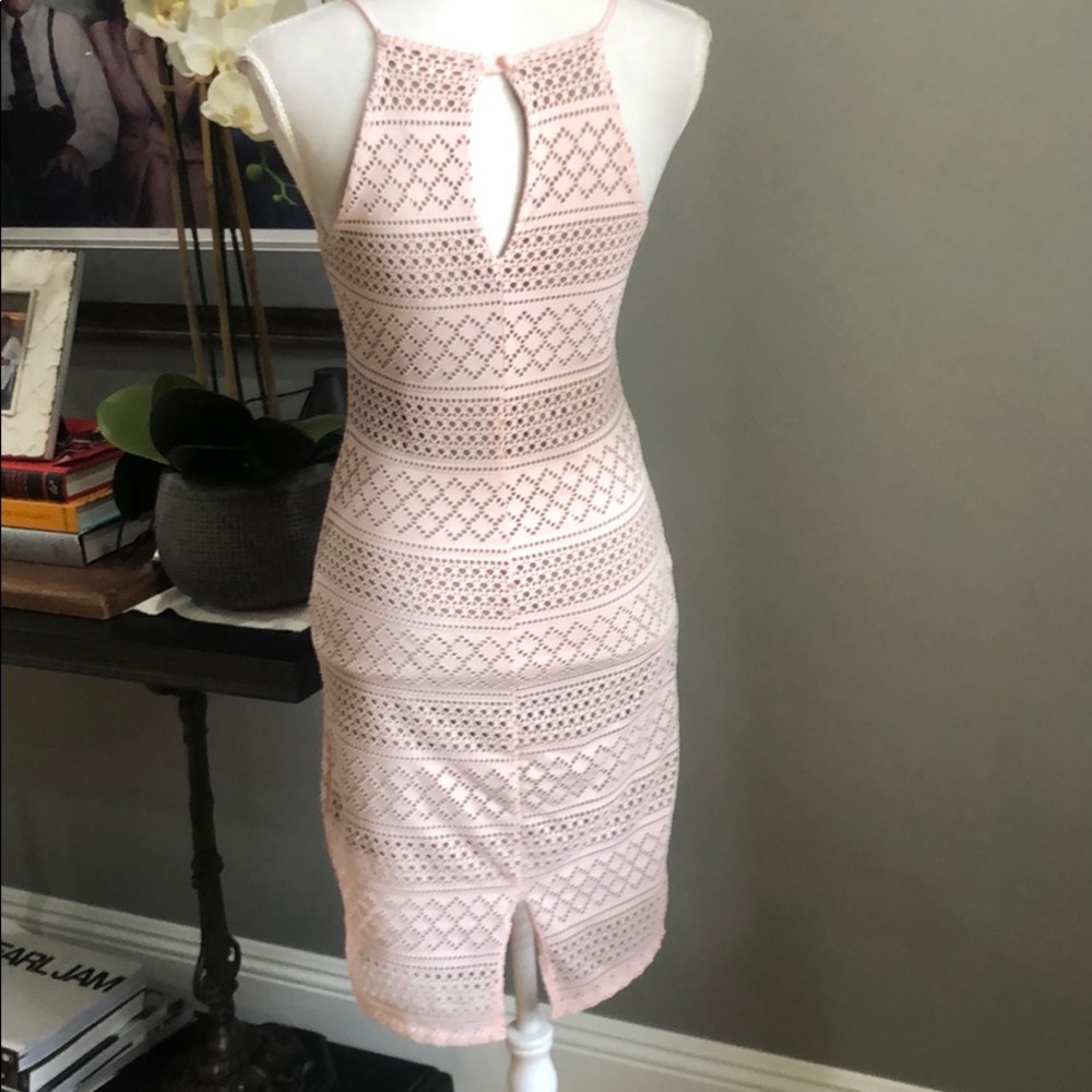 (Sold) Poetry Bodycon Formfitting Blush Lace Dress - Picture 4 of 7